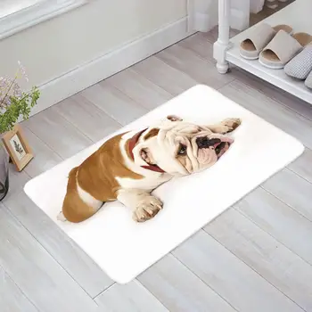 Buldog angielski maty do kąpieli smutny i zmęczony buldog, укладывающий europejską czystej rasy zwierząt zdjęcia pluszowy dywanik do łazienki krem