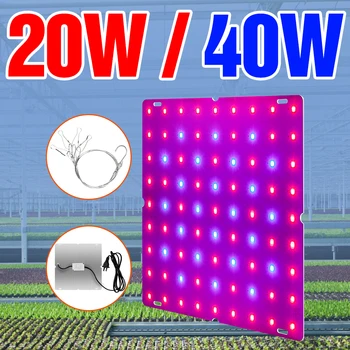 Plant Light Full Spectrum Grow Light Indoor LED Growing Lamp Phyto Lamp 20W 40W Flower Seeding LED Hydroponic Lighting Fitolampy