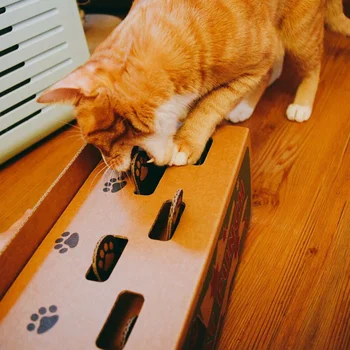 1 szt. nowość twórczy zabawny interaktywny kot cios zadrapanie Kret myszy gra zabawka mysz pop-up puzzle ćwiczenie Kot zabawka