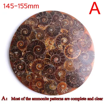 145-155 mm naturalny Amonit skamieniała sosnowa zlew, płyta twardy baza Ammonoidea Amonitas uzdrowienie kolekcja dekoracji do domu prezent