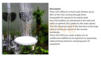 Aquatics płaski szklany dyfuzor atomizer CO2 z U-kształtny przewodem łączącym do akwarium karty zbiornika