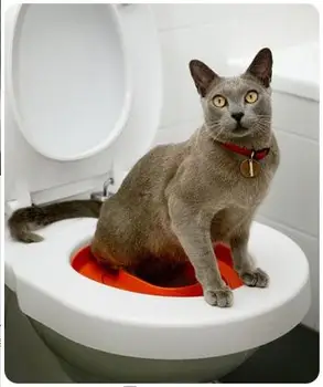 Profesjonalny Kocie Szkolenie Deska Sedesowa Pet Box Kit Train Love Clean Cats Use Human Toilet Easy To Learn Miot Toaletowy Pudełko Prezent