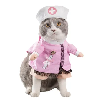 Wiosna i jesień Pet Cat Cute Funny Costume Cats Dogs Clothes Standing Transformation Stereo Cosplay Ropa De Perros Mascotas